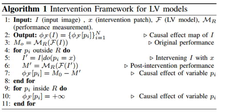 LVmodel的干预框架