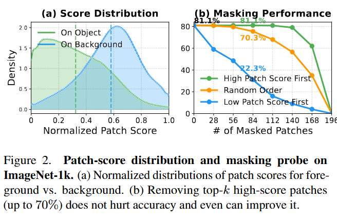 Patch Score分布与Masking Probe结果