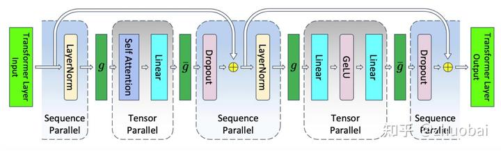 Sequence Parallel Example